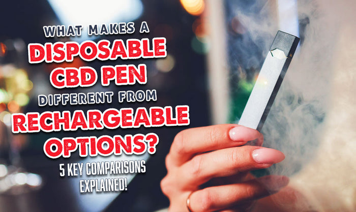 Was unterscheidet Einweg-CBD-Vaporizer von wiederaufladbaren Modellen? 5 wichtige Unterschiede erklärt