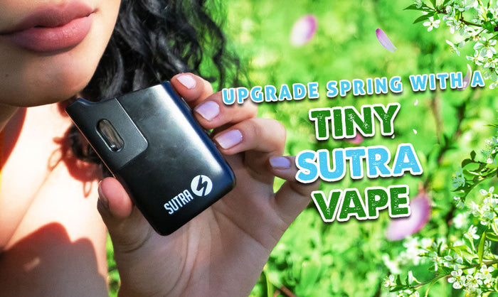 Werten Sie den Frühling mit einem Tiny Sutra Vape auf